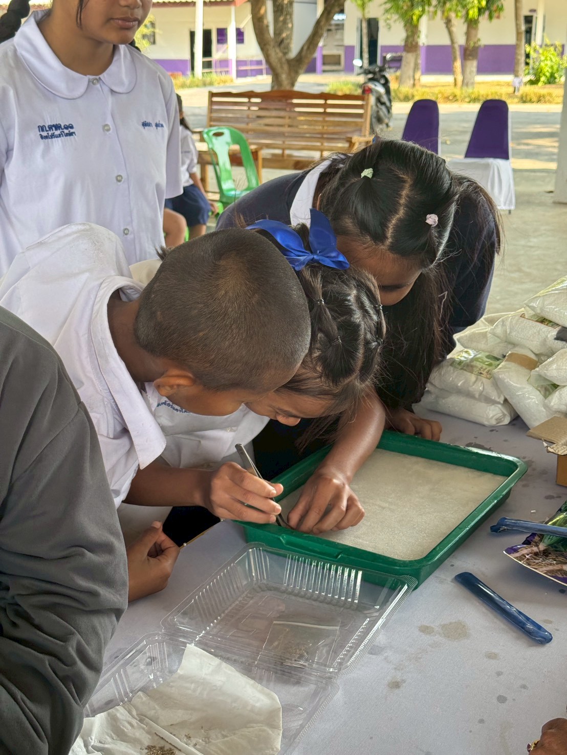 title - ส.ป.ก.จันทบุรี ดำเนินการฝึกอบรม โครงการเพิ่มศักยภาพระบบงานเกษตรภายใต้แผนพัฒนาเด็กและเยาวชนในถิ่นทุรกันดาร ตามพระราชดำริ สมเด็จพระเทพรัตนราชสุดาฯ สยามบรมราชกุมารี ประจำปีงบประมาณ พ.ศ. 2569 